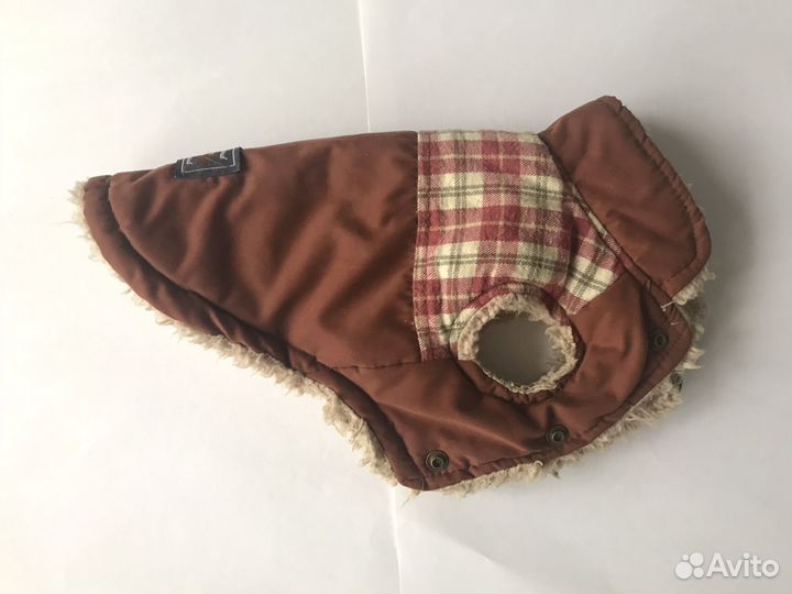 Одежда для собак