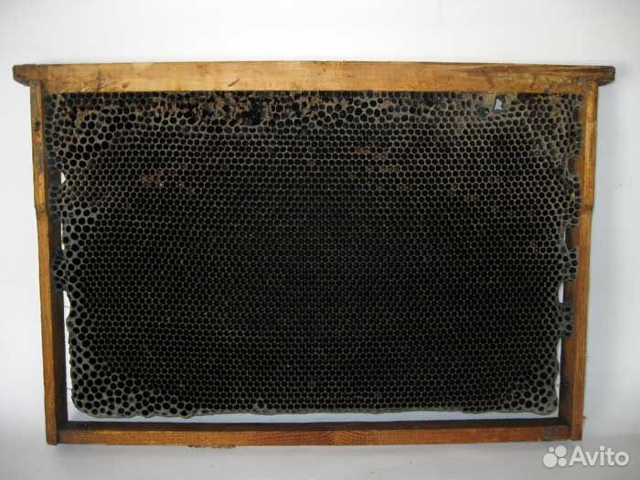 Вощина Сушь Мерва