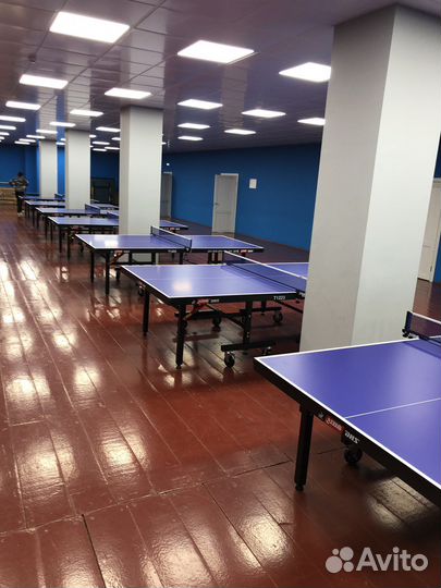 Обучение настольному теннису