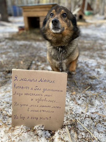 Меня предали