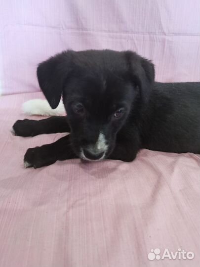 Длинноногий мальчишка