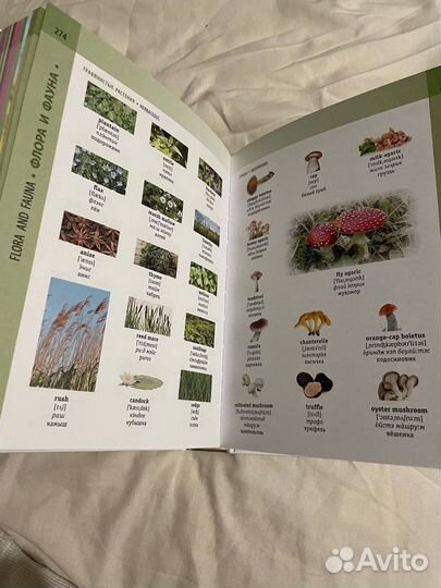 Визуальный Англо-русский словарь с транскрипцией