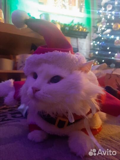 Новогодний костюм для животных