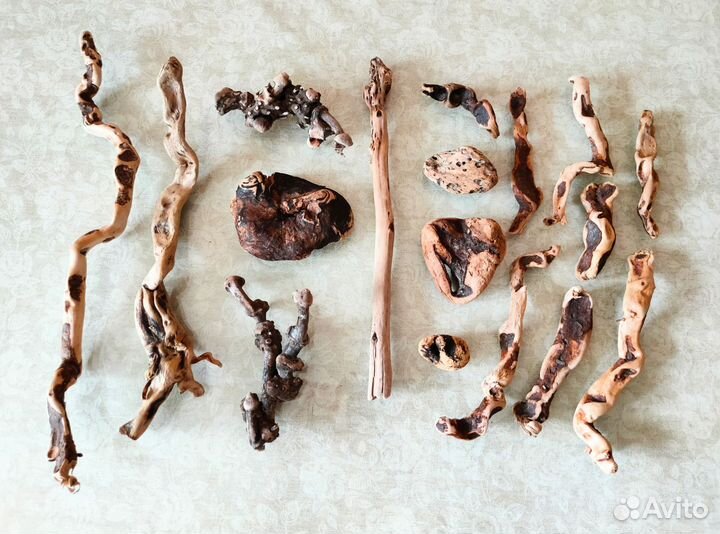 Морские стеклышки, дрифтвуд, ракушки