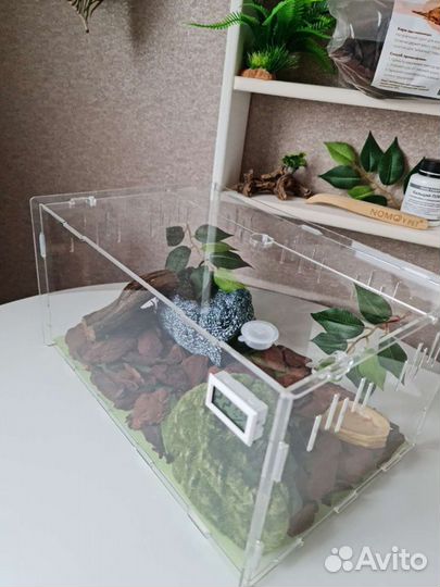 Акриловый террариум для эублефаров