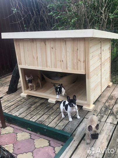 Будка домик для собаки