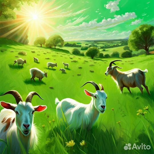 Трава свежая для животных