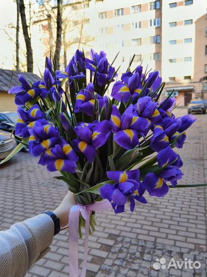 Букет из 27 ирисов