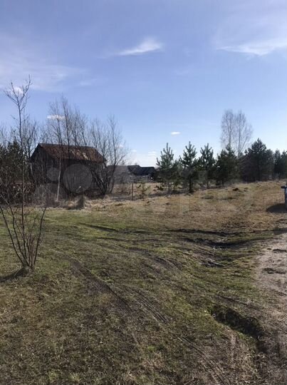 Участок 10,4 сот. (СНТ, ДНП)