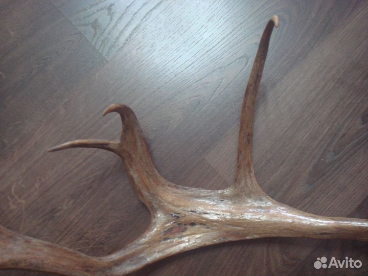 Сувенир из кости