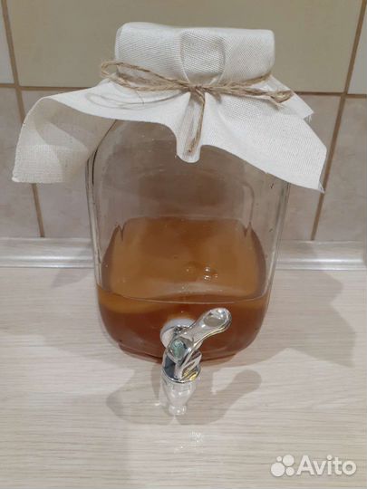 Чайный гриб - Комбуча в лимонаднике