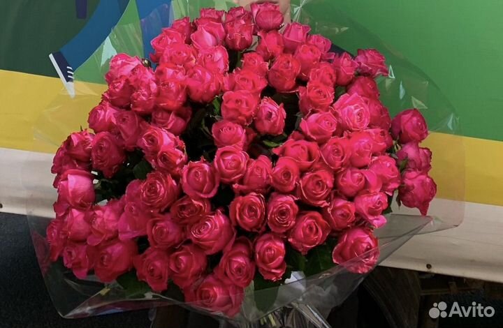 101 ;51 роза фикс цена