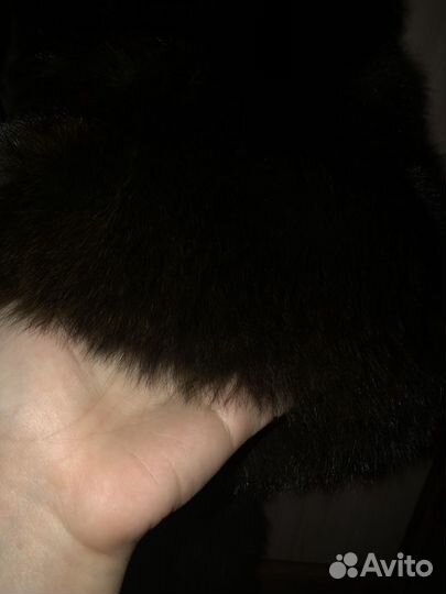 Шуба, песец