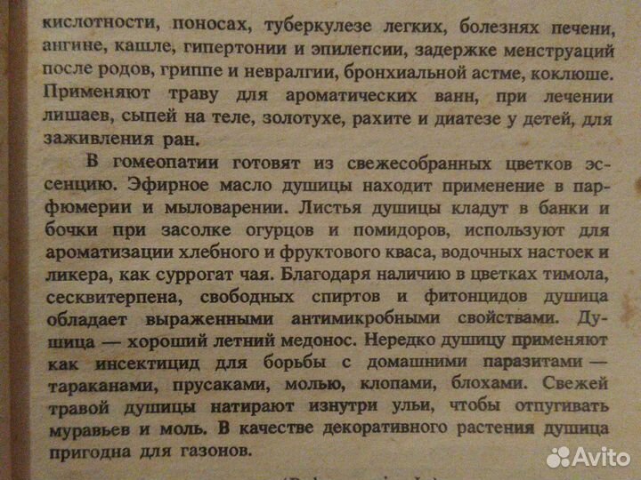 Душица сушеная