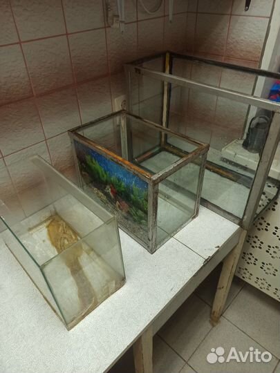 Террариумы из аквариумов - 3 шт