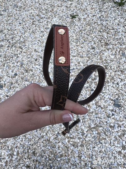 Ошейник и поводок для собак 3 цвета. Louis Vuitton