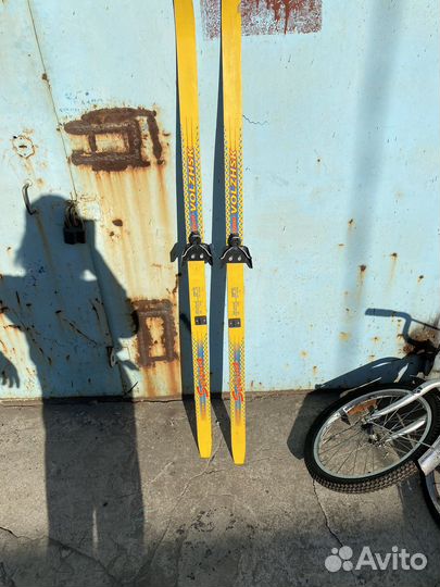 Беговые лыжи