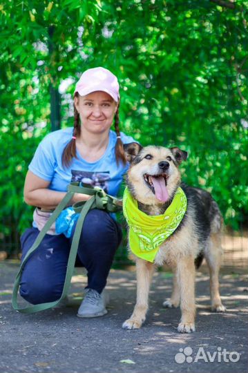 Собака ждёт семью много лет