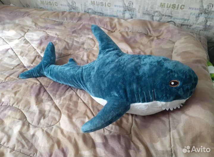 Акула все размеры