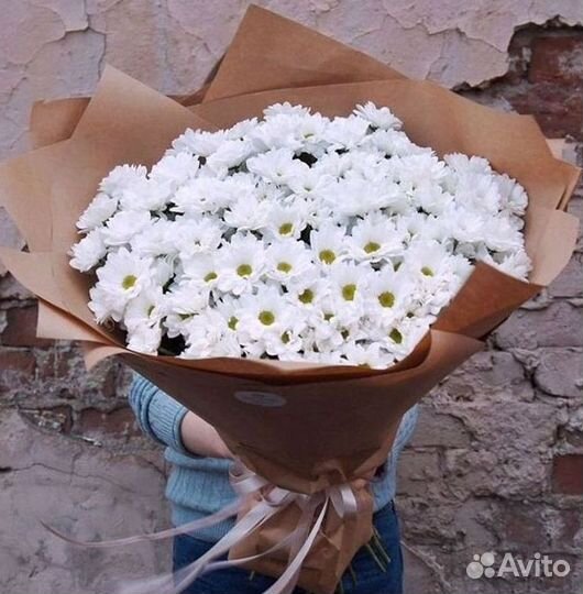 Хризантема Букет хризантем Доставка