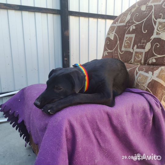 Мальчик Веня ищет дом