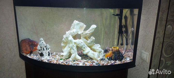 Коряга для аквариума