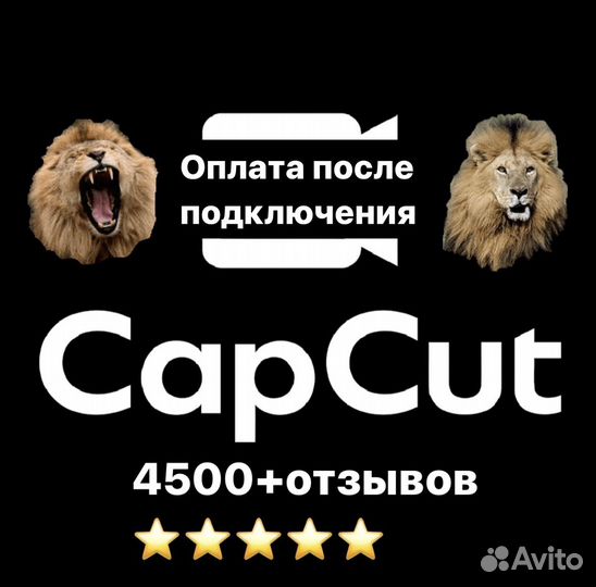 Capcut Pro Go Pro Подписка 1 Месяц (Постоплата)