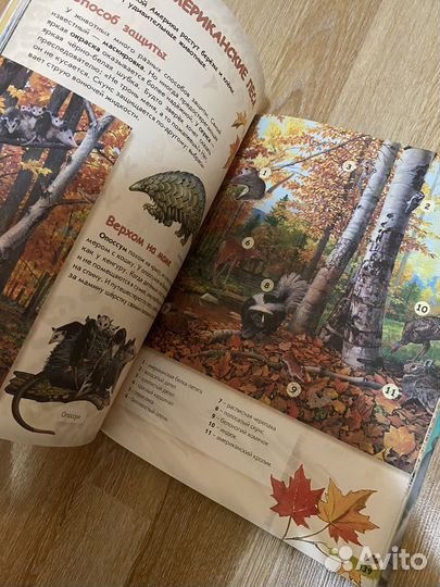 Детские книжки