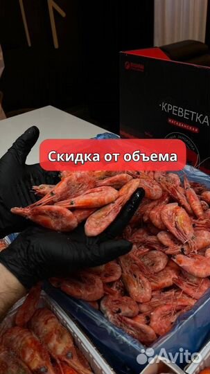 Креветка Северная опт