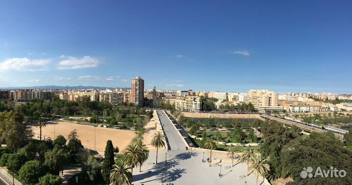 Репетитор/переводчик испанского языка