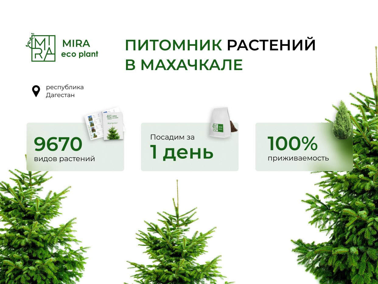 MIRA ECOPLANT. Профиль пользователя на Авито