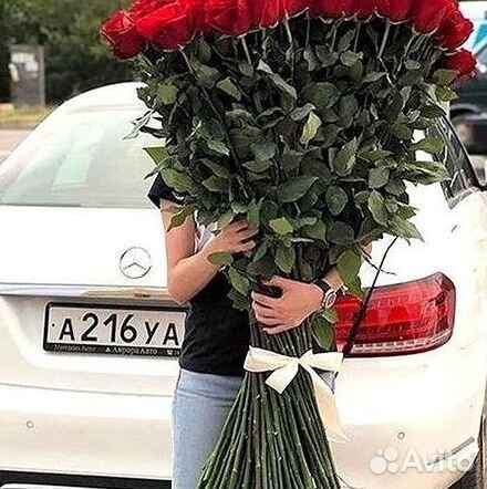 Высокие розы