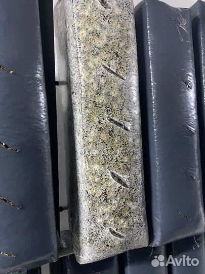 Готовые созревшие грибные блоки вешенки