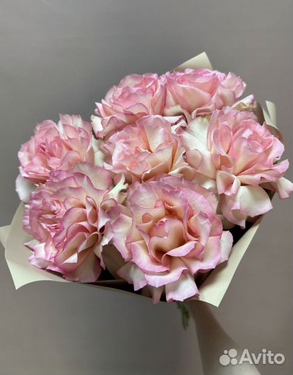 Пионовидные розы