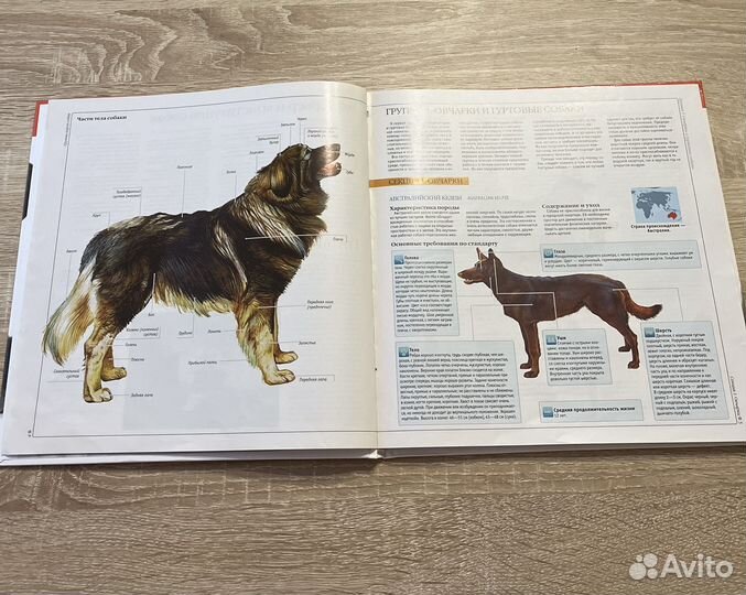 Книги про кошек и собак