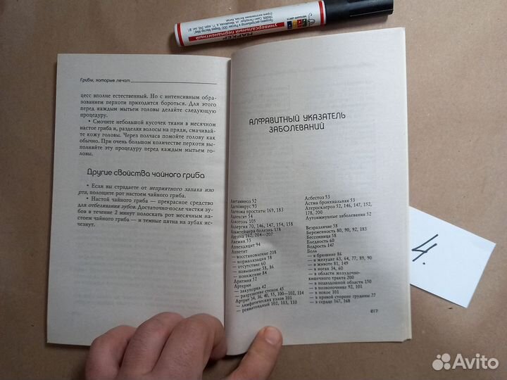 Грибы, которые лечат