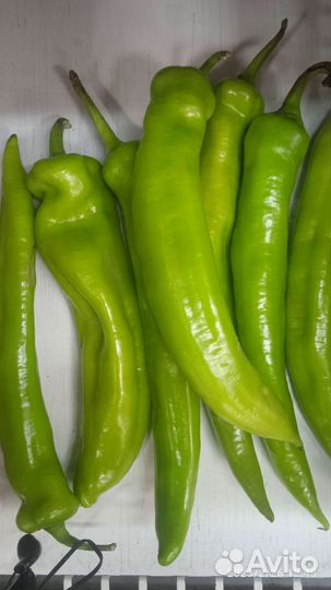 Рассада томатов, перцев и другое