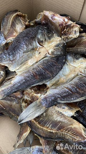 Сушеный карась в наличии