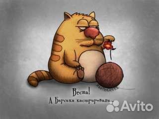 Кастрация кота