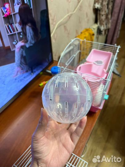 Клетка для джунгарского хомяка