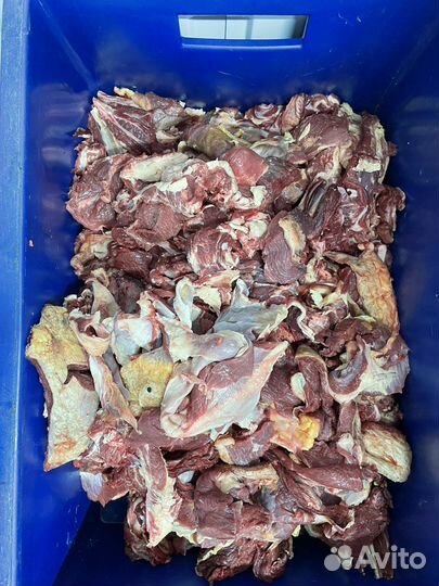 Продукты питания