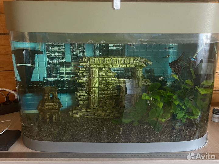 Аквариум