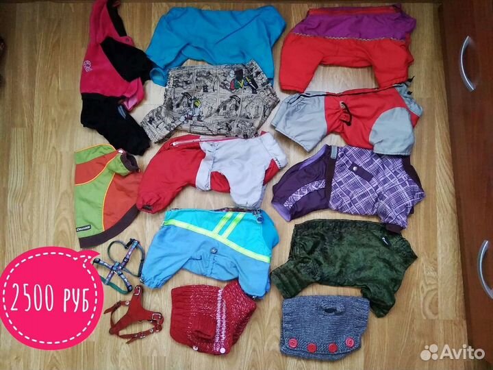 Одежда для собак пакетами S