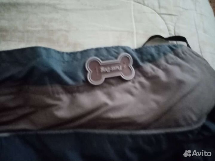 Одежда для собак