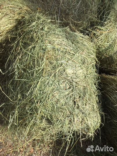 Сено, солома