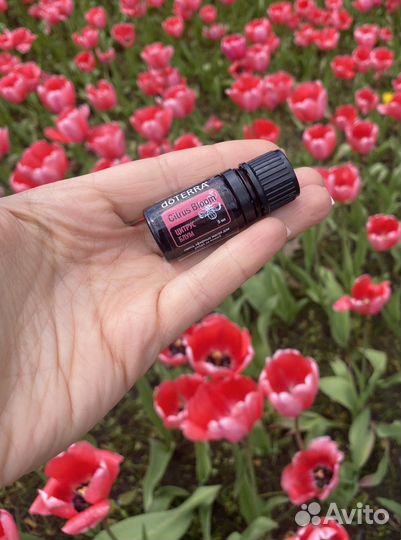 Эфирное масло doterra Citrus Bloom