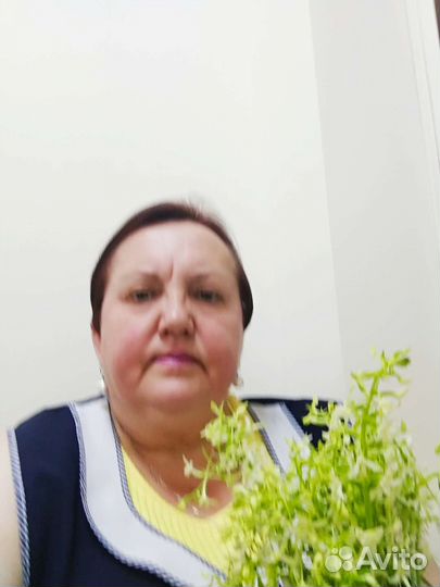 Любая