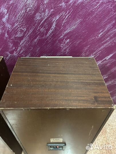 Колонки радиотехника s90