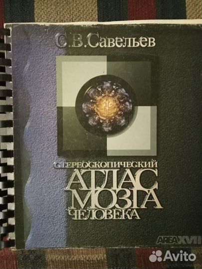 Атлас мозга человека Савельев