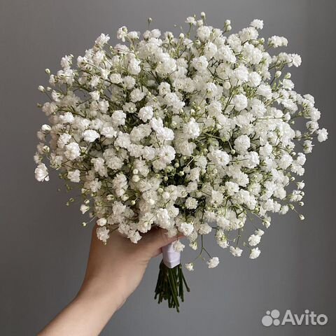 Свадебный букет невесты из белой гипсофилы